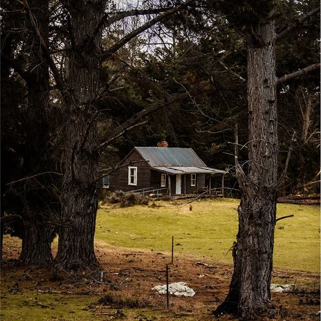 Bruny's so legit we got street cred where there ain't no streets 👏
.
.
#legit #bruny #showusyourbruny #brunyislandtas #inthewoods #streetcred