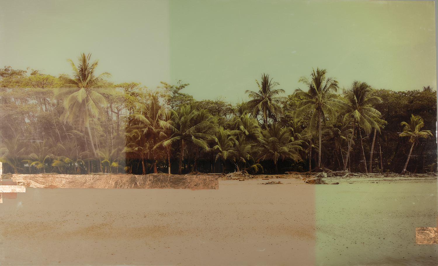 COSTARICA_PALMS 36 x 60.jpg
