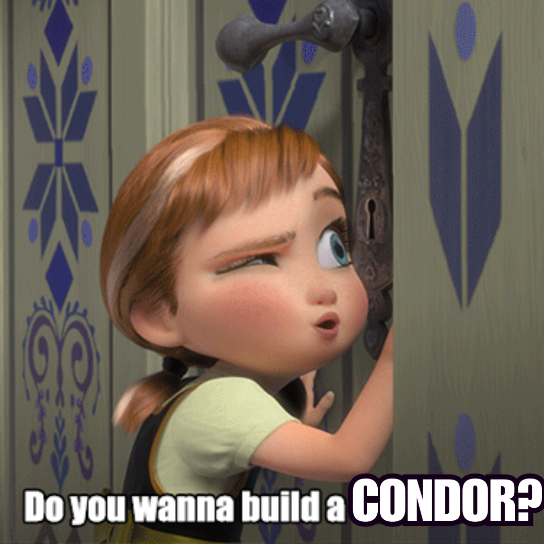 Do you want to build a condor?