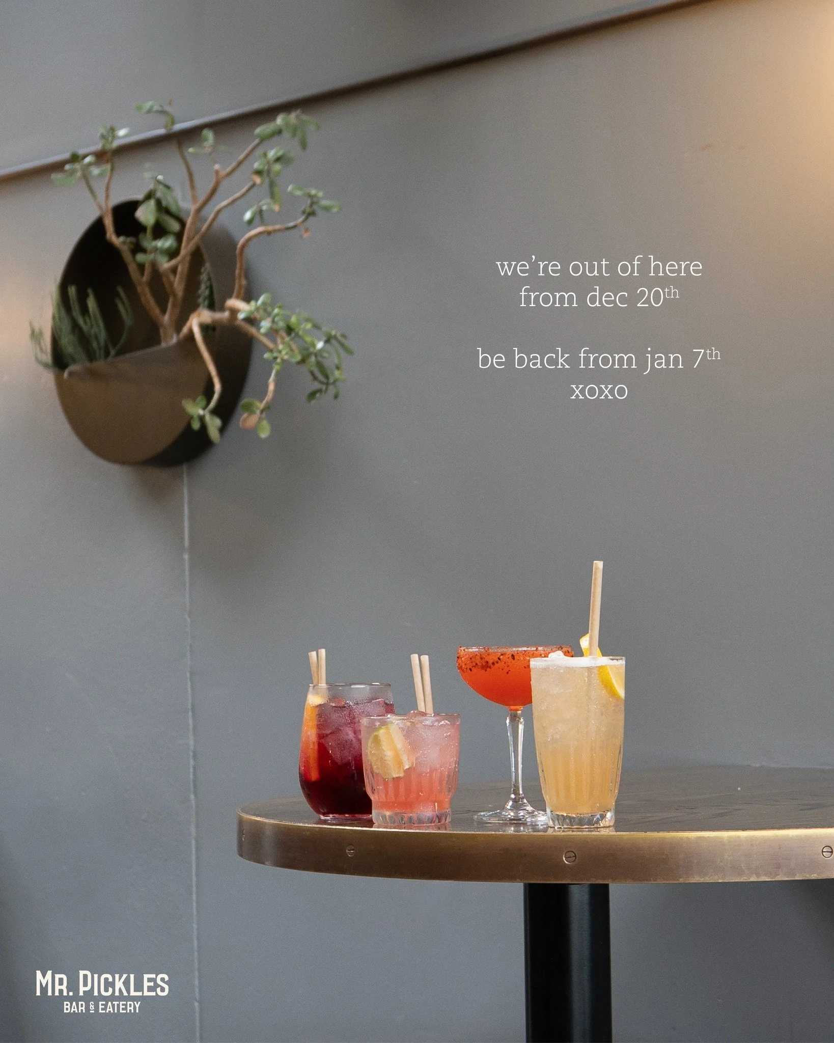 thanks for all the love and support this year,
see you in 2026!

xoxo,
the pickles