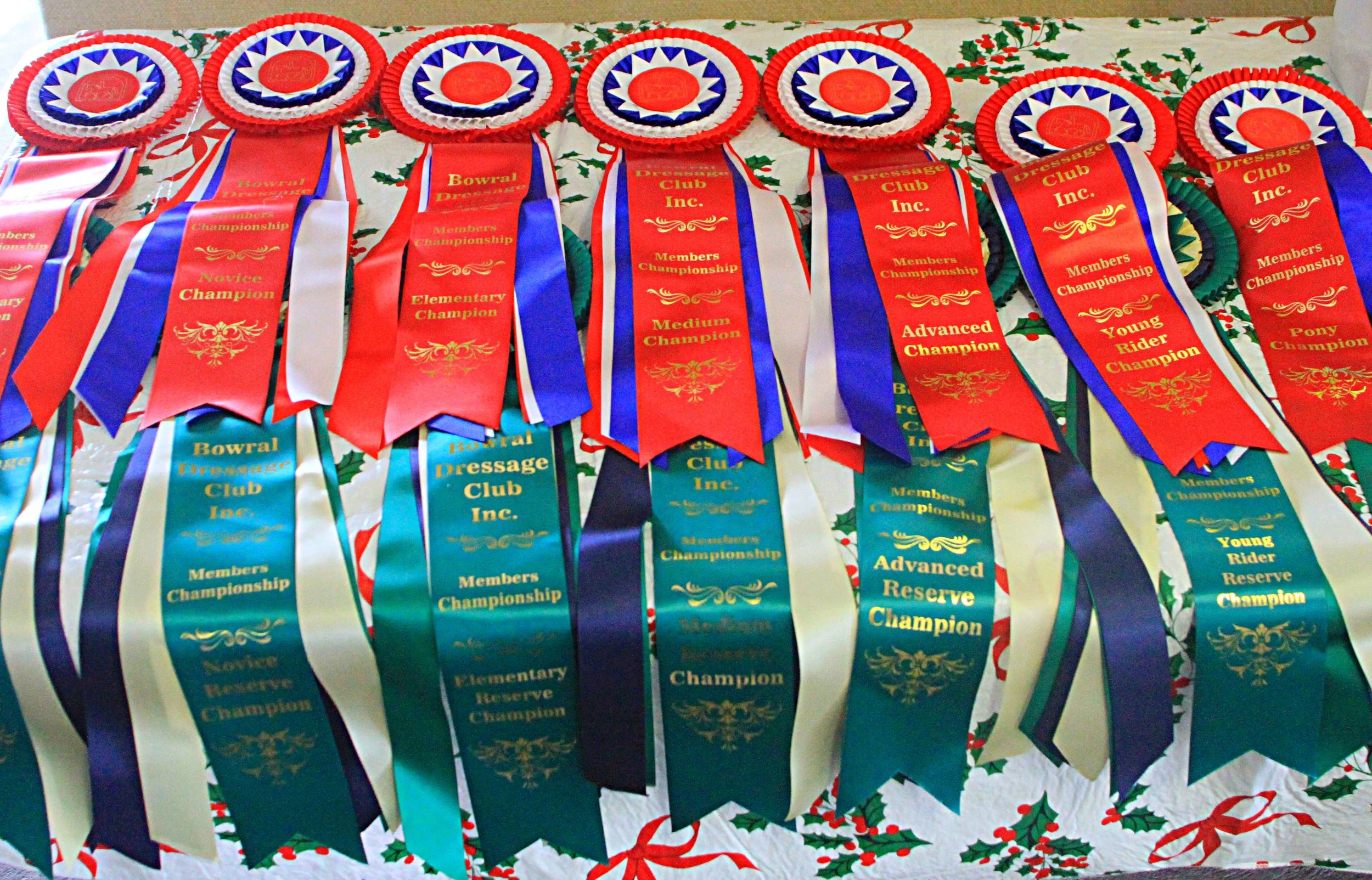 Aviary Photo_131265559544945049-(ZF-6673-47056-1-021).jpg