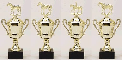 Dressage Trophy 2.gif