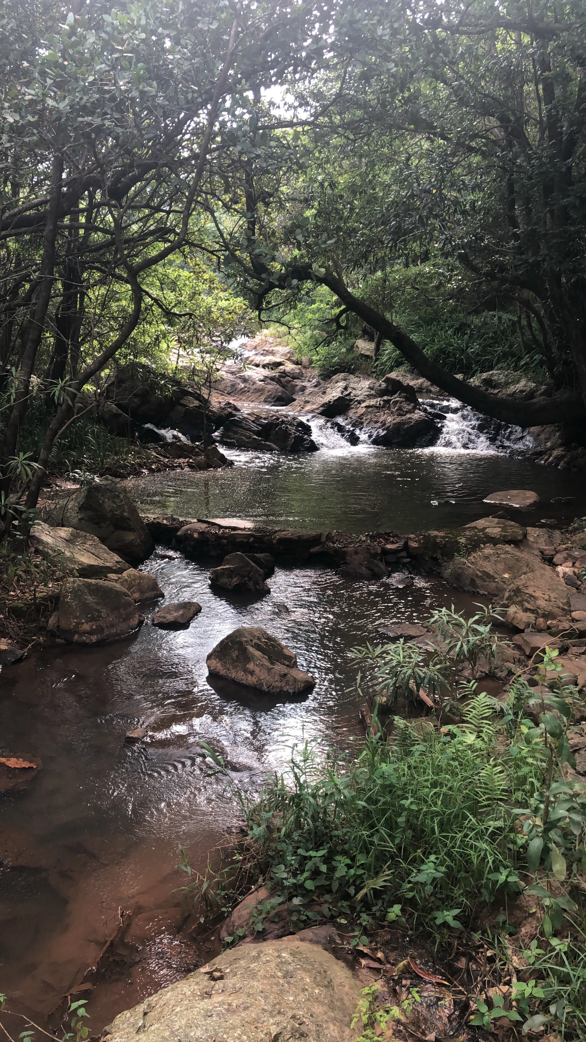 2018-02-07 16.10.31.jpg