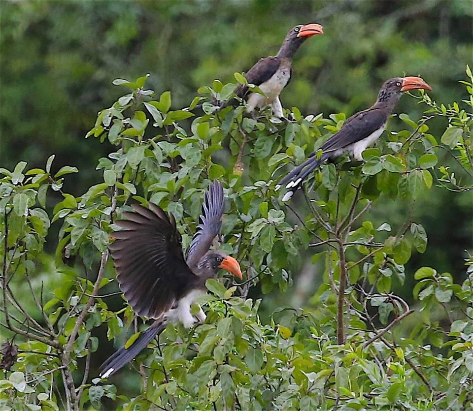 2016-03-25 07.04.13.jpg