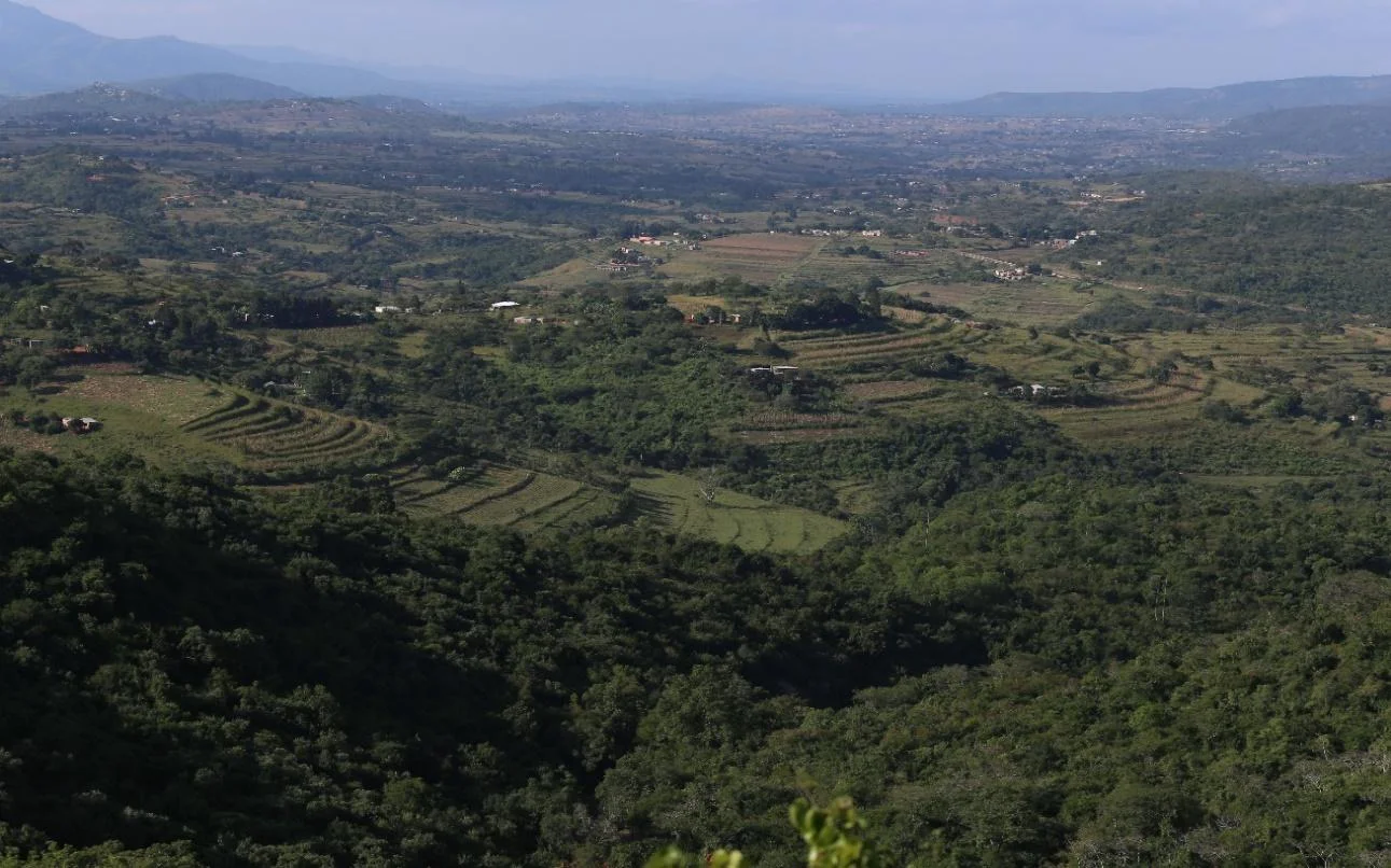 image1.jpg