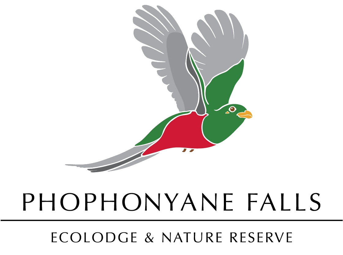 Phophonyane Lodge 