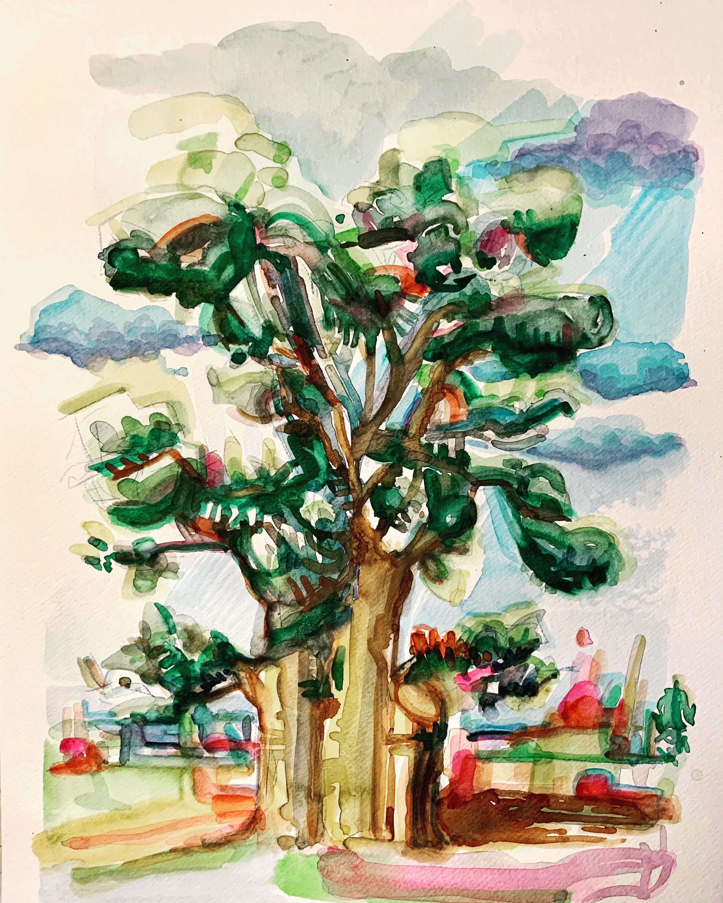 Le Baobab