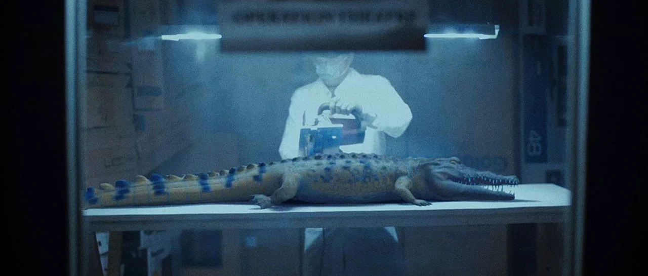 3D_example.jpg