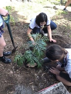 ecofriends school planting.jpg