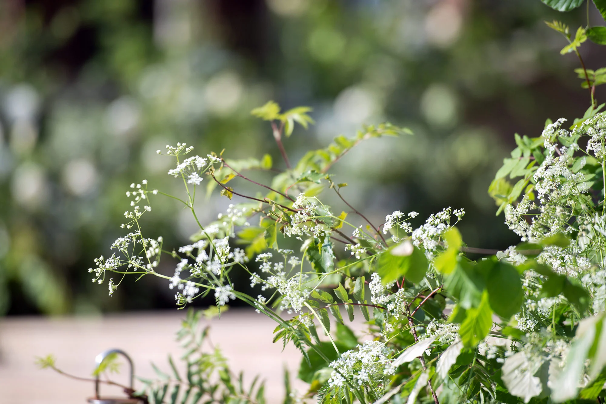PHILIPPA_CRADDOCK_EVENTS_WORKSHOP.jpg