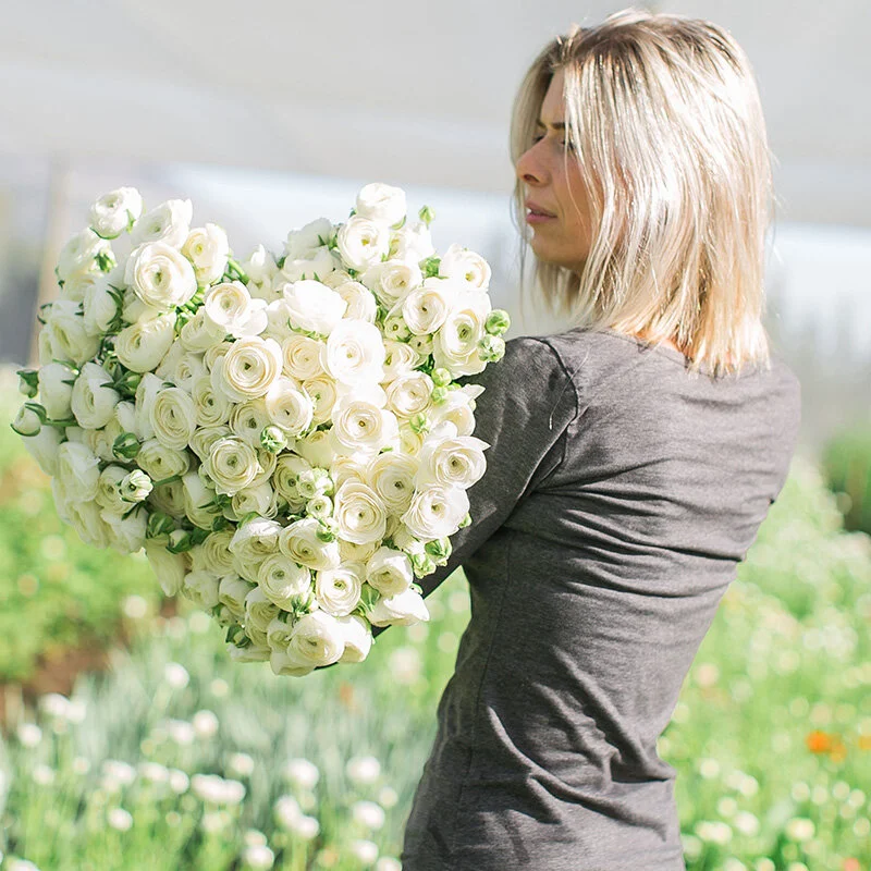 Flower Farms Florists Worldwide Philippa Craddock