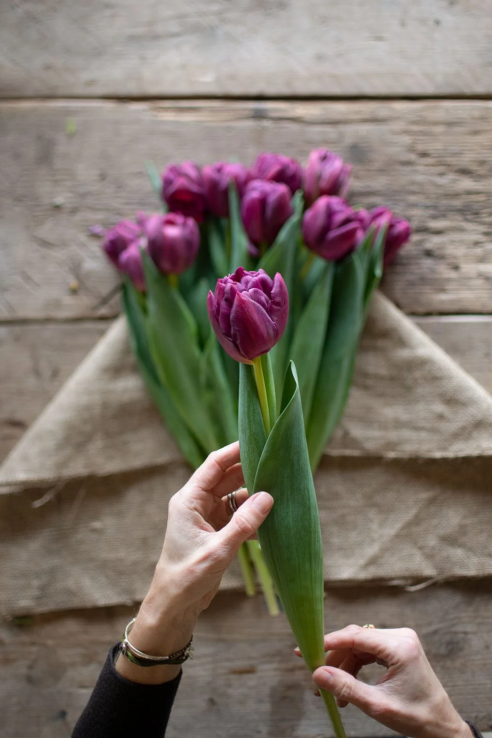 How to Wrap Tulips — Philippa Craddock