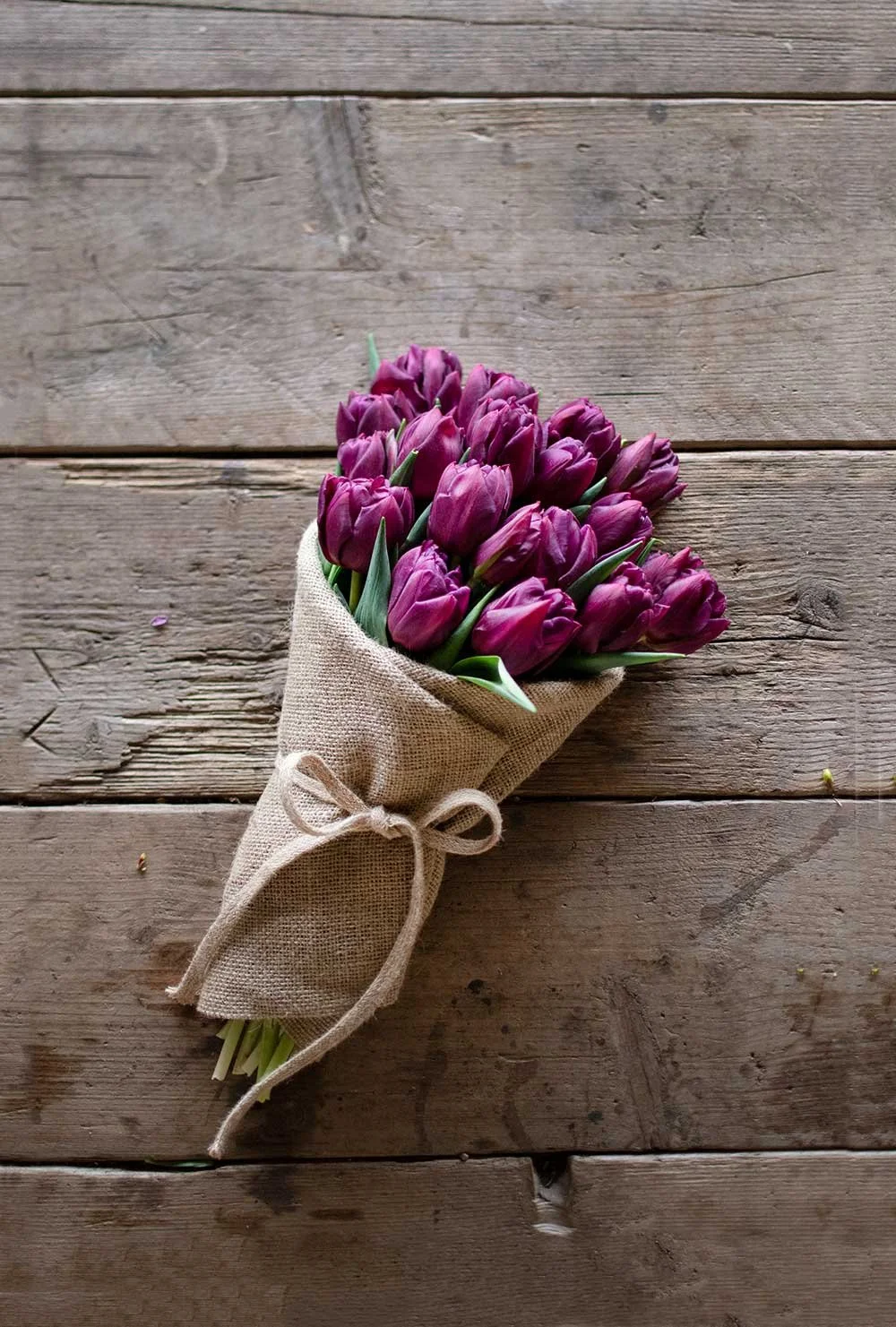 How to Wrap Tulips — Philippa Craddock