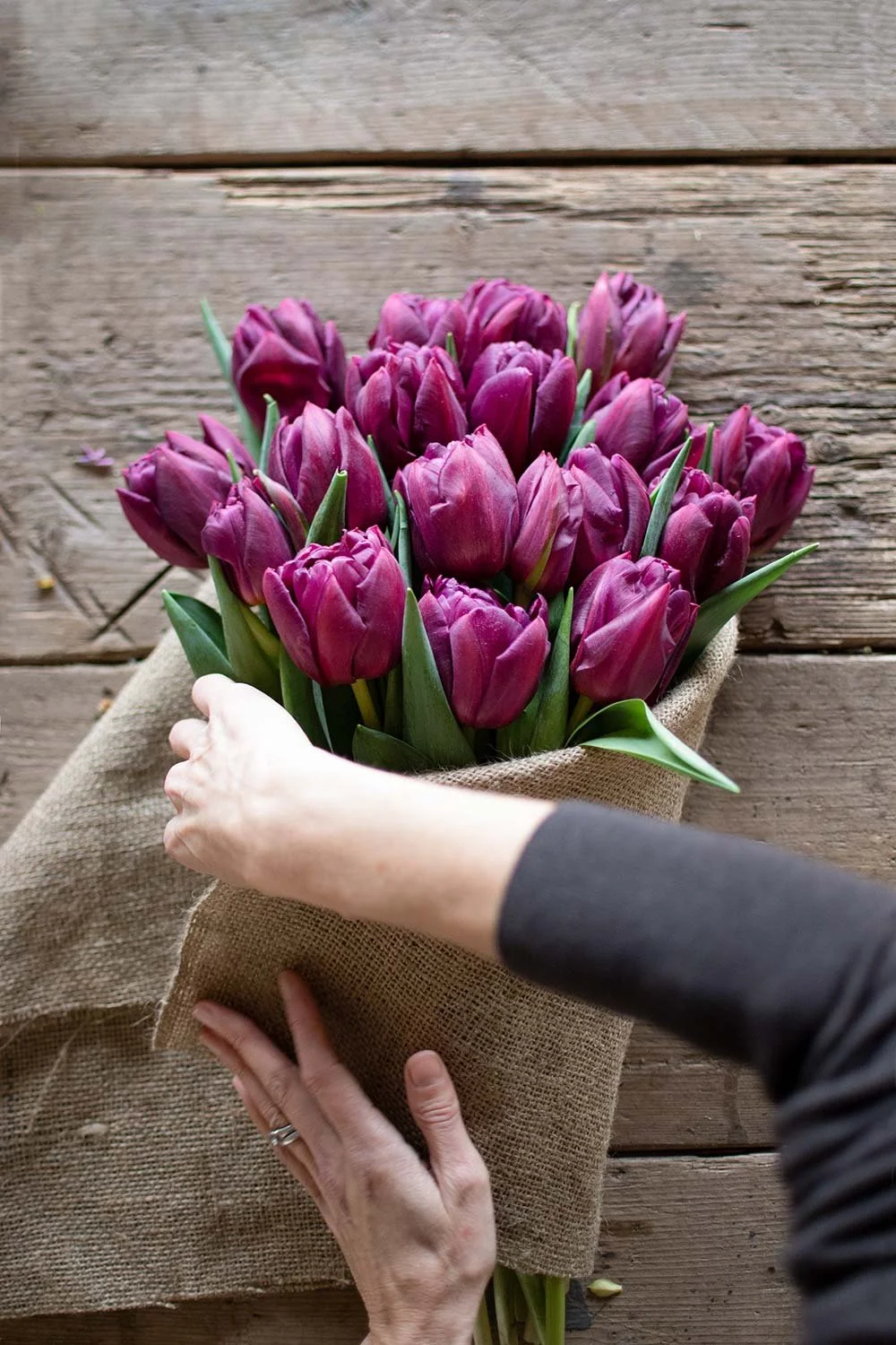 How to Wrap Tulips — Philippa Craddock