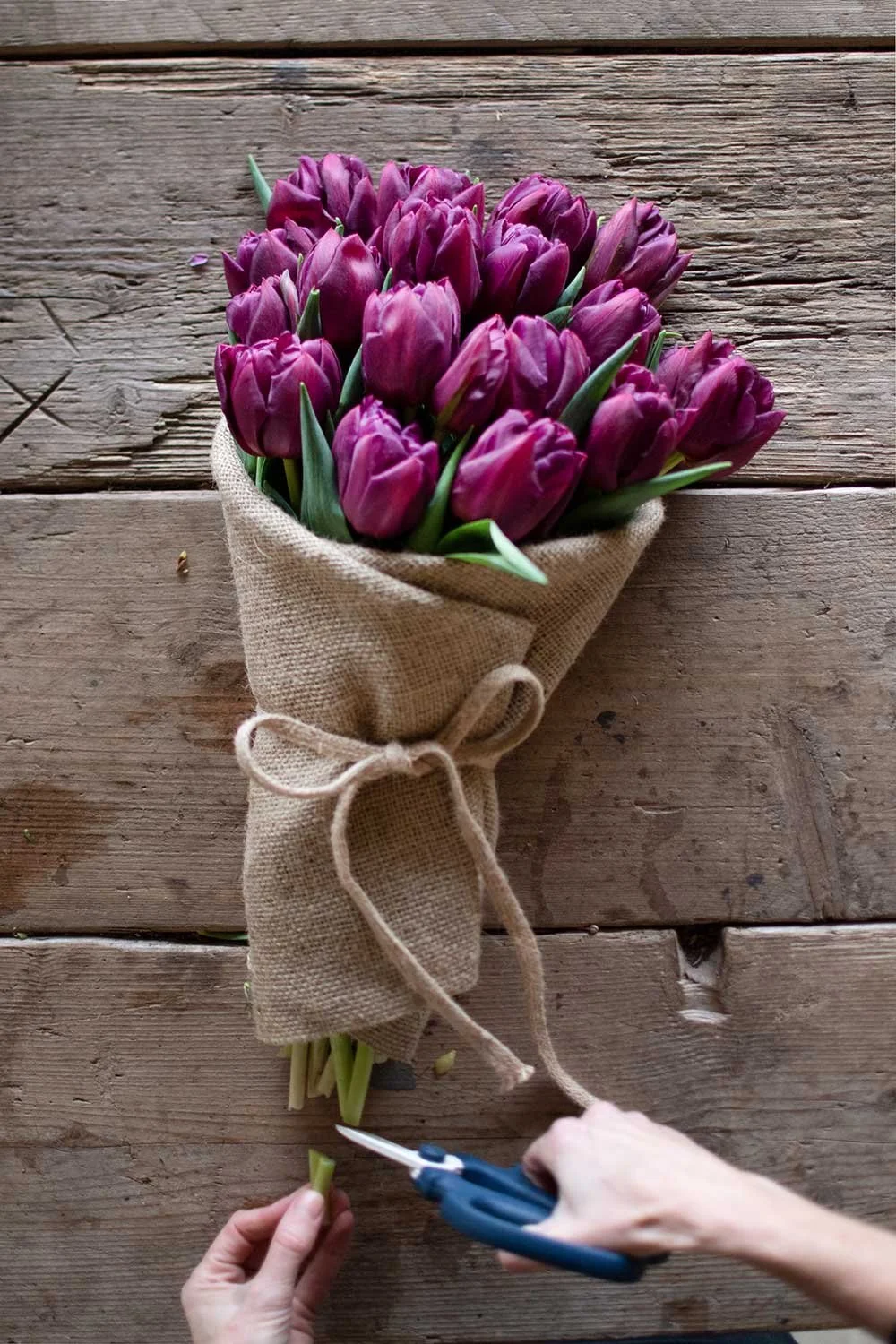 How to Wrap Tulips — Philippa Craddock