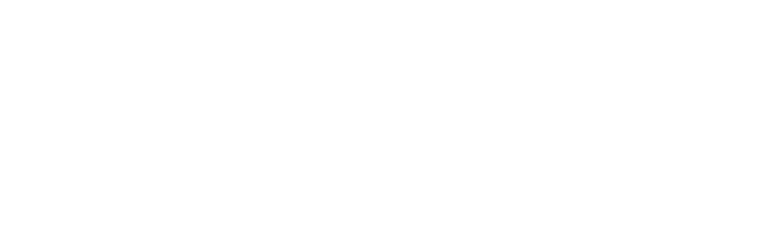 white_logo_transparent_background.png