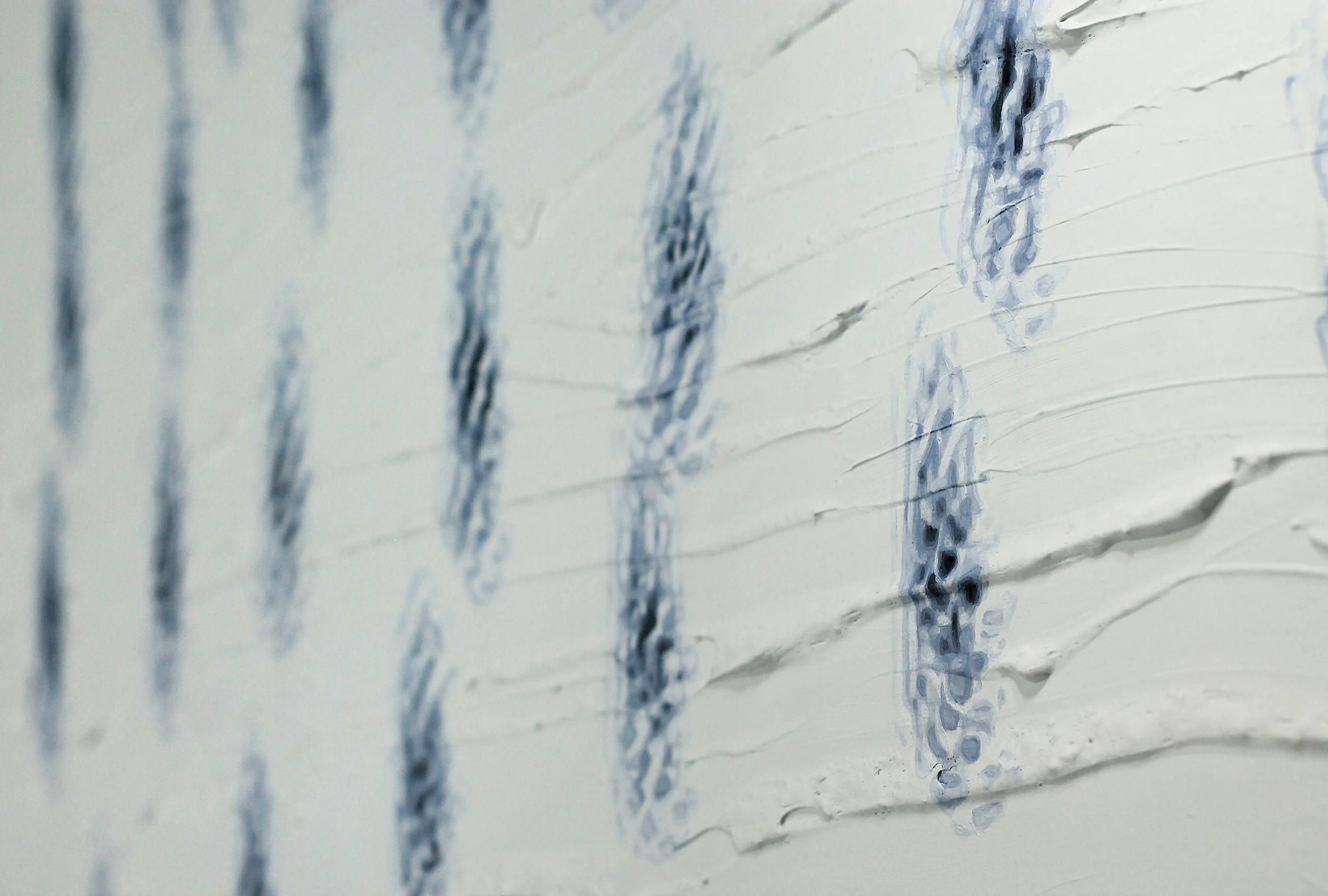 The Screen (Subcentral Peripheral Floaters) Detail 1.JPG