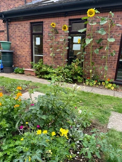Collaborative Practice blooms at a GP practice in Kent — Altogether Better