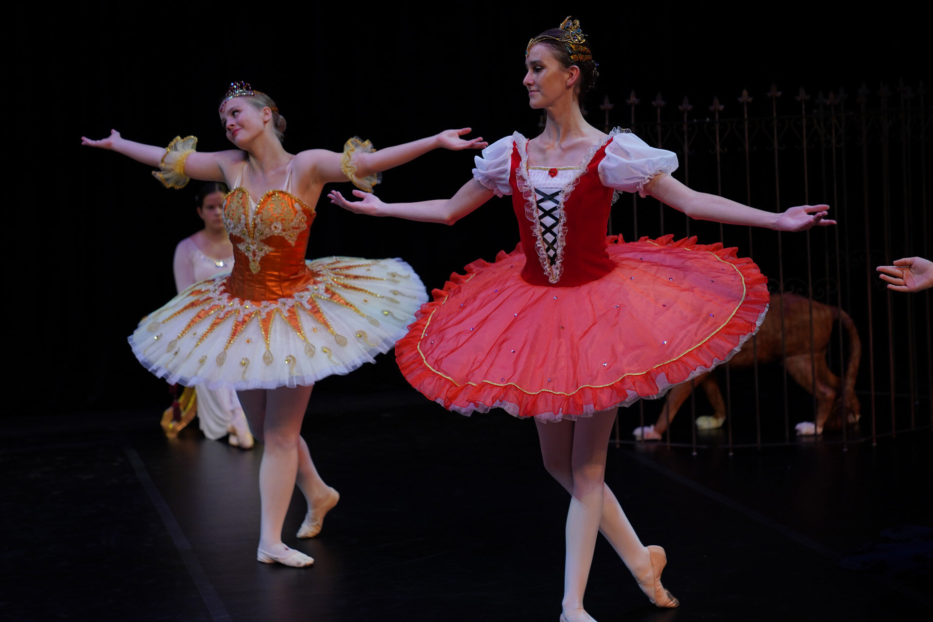 Ballettschule Bielefeld 2020 0151.jpg