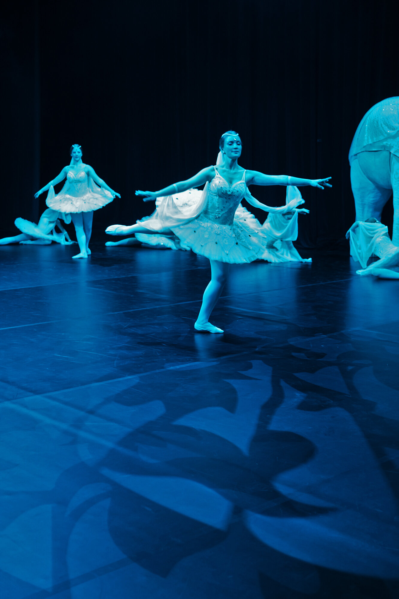 Ballettschule Bielefeld 2019 034.jpg