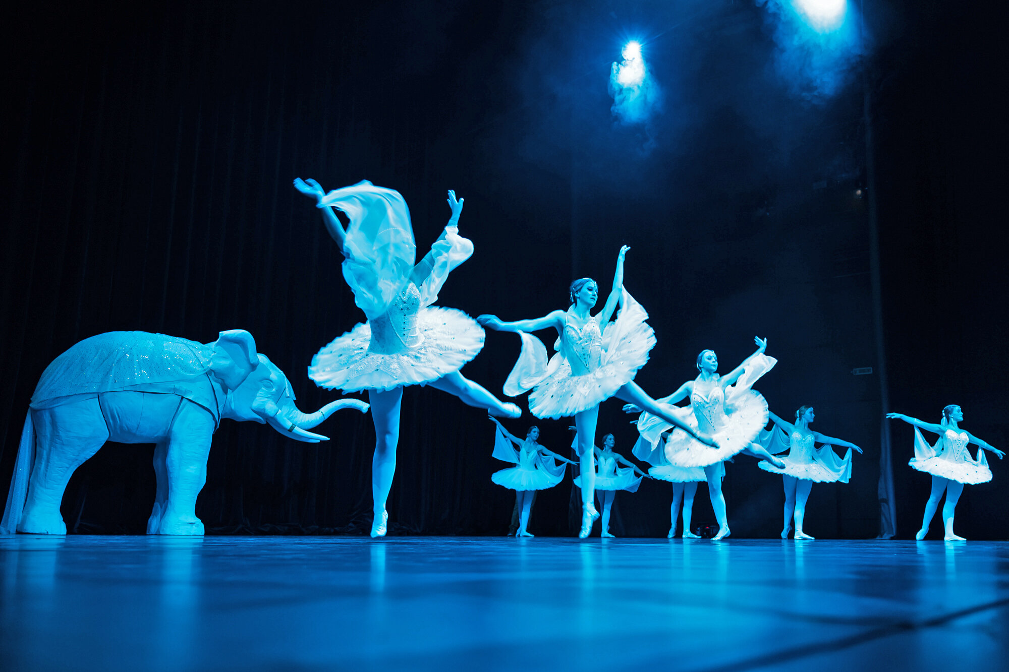 Ballettschule Bielefeld 2019 031.jpg