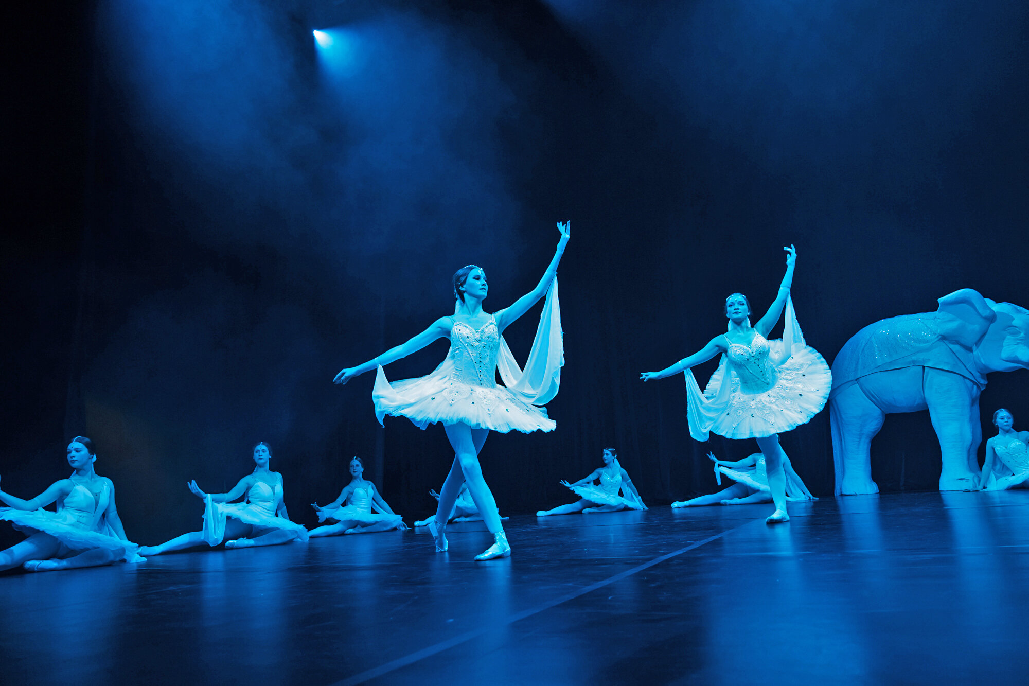 Ballettschule Bielefeld 2019 051.jpg