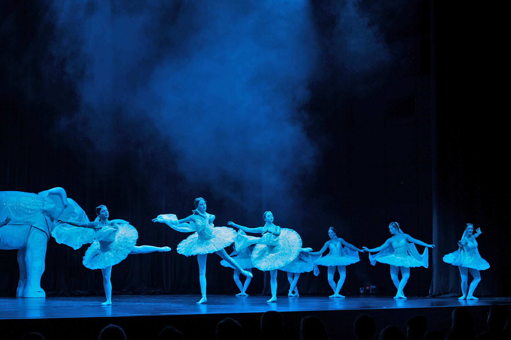 Ballettschule Bielefeld 2019 0116.jpg