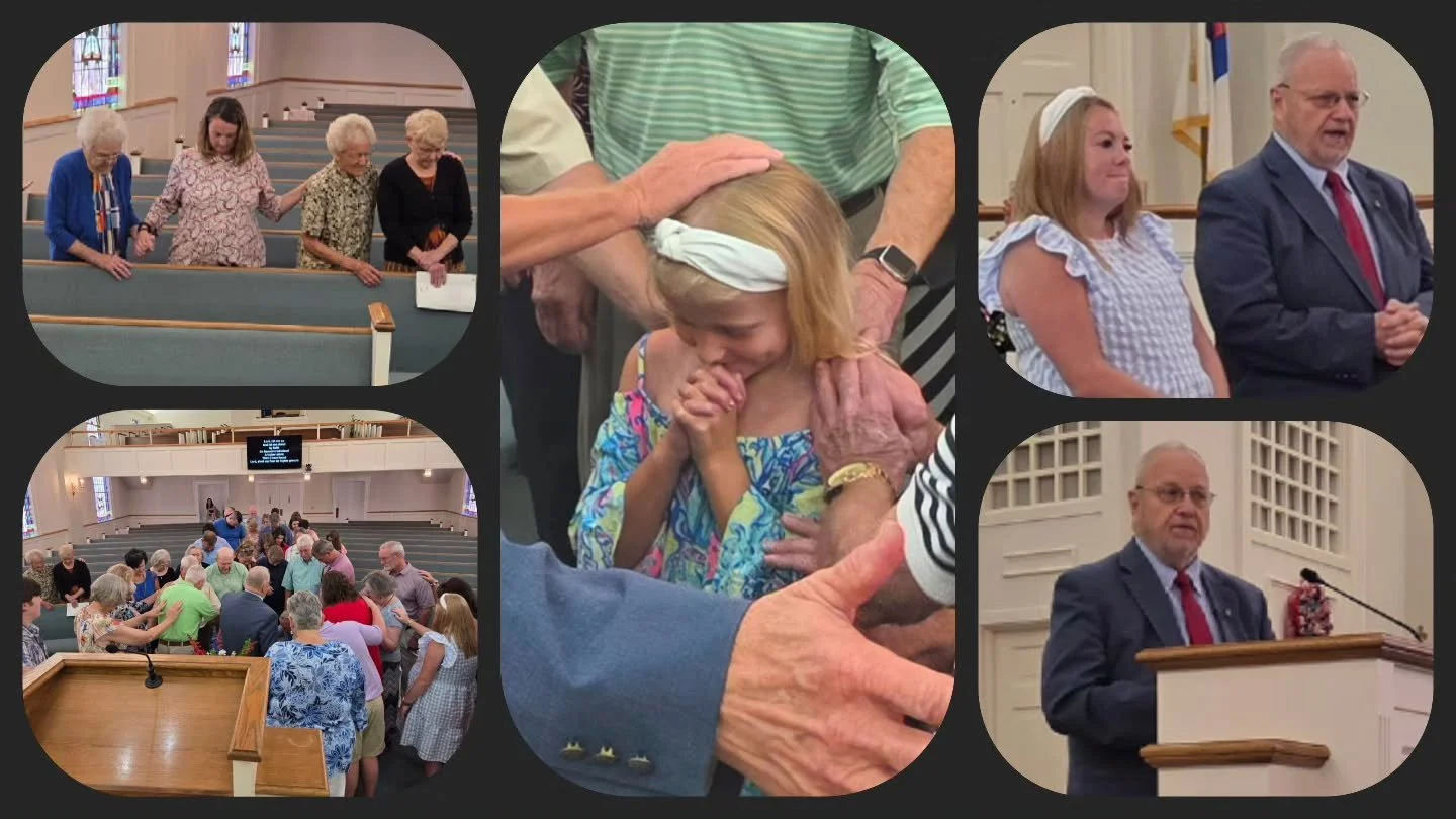Prayers and praises! We have a new Interim Pastor, a new member who is already dear to our hearts), and are praying for our sweet Lilly, who is undergoing a serious heart procedure this week! ✝️