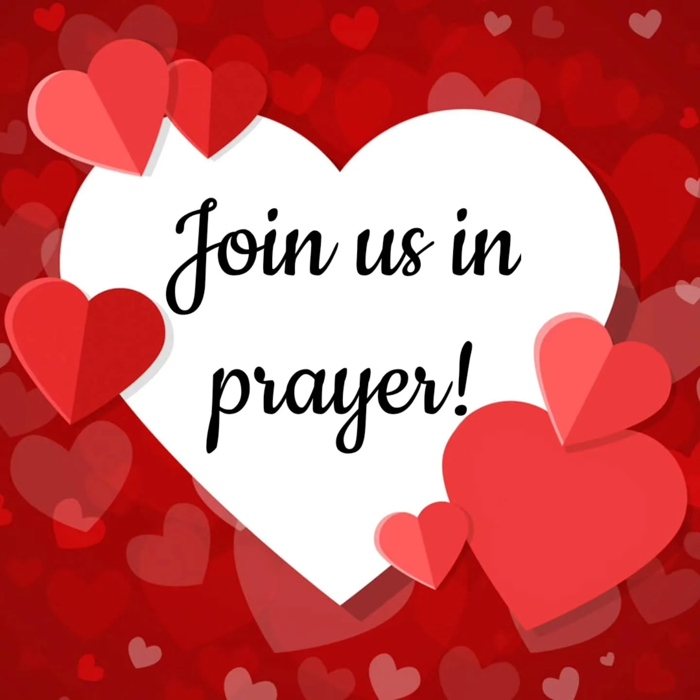 Our own Lilly Cheek is having a partial heart transplant tomorrow after a long wait for a donor. Please pray for this procedure and her recovery and for the family who has lost a loved one! ❤️