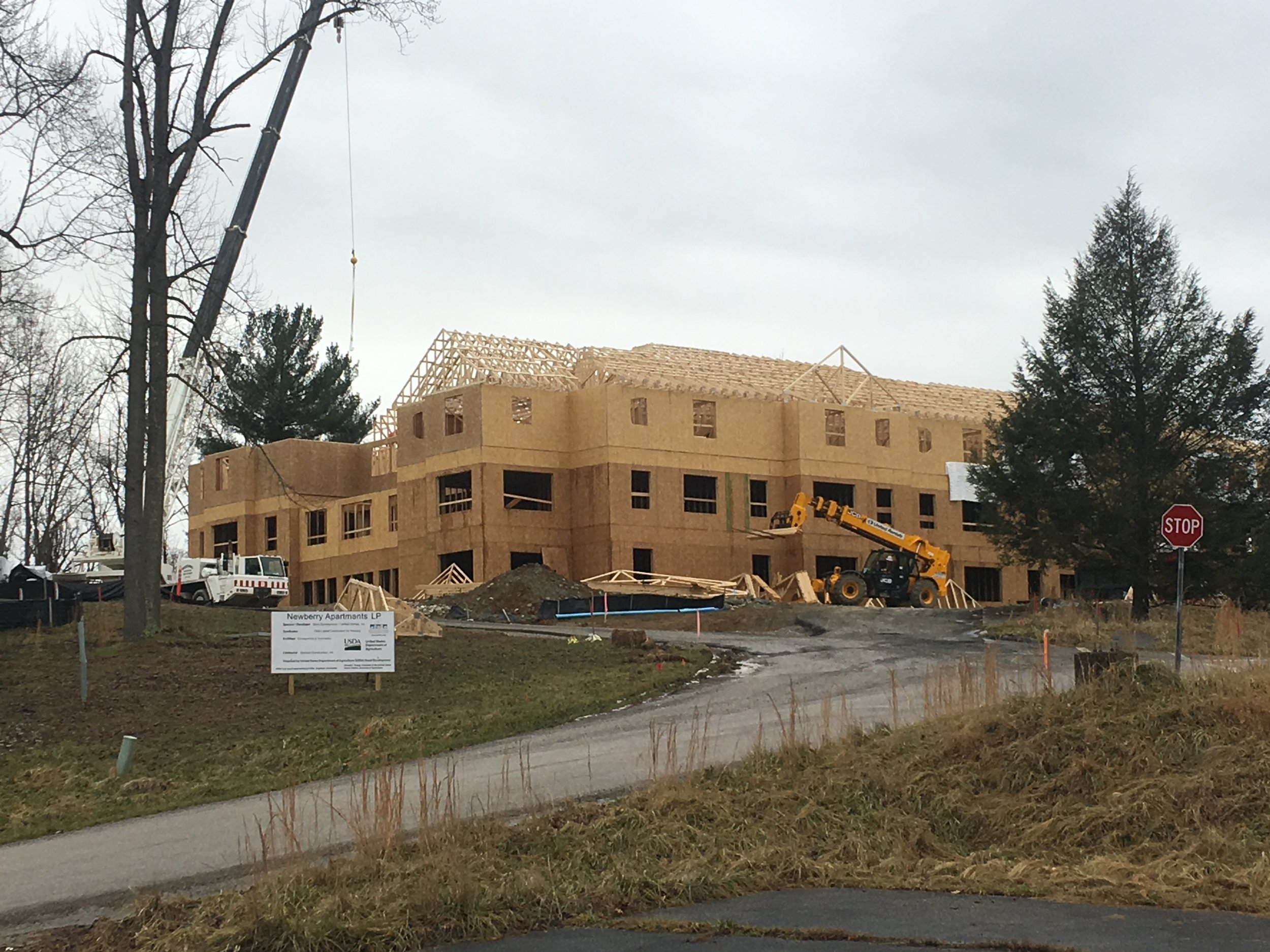 Progress Photo_2019.01.24.jpeg