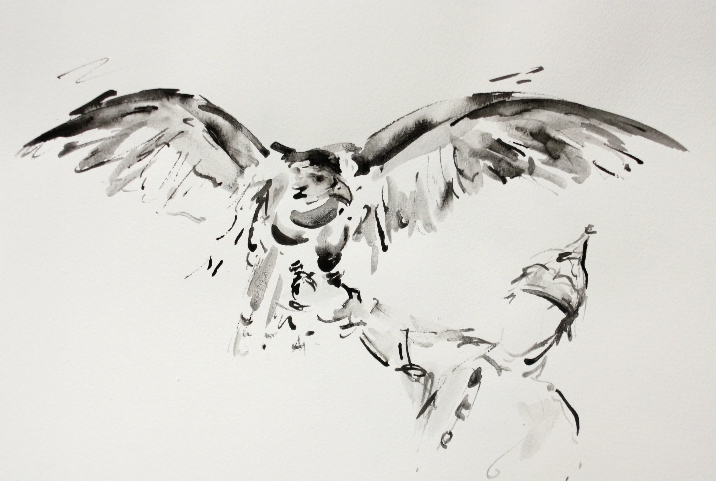 Mongolian Eagle