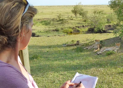 Mara Cheetah.jpg