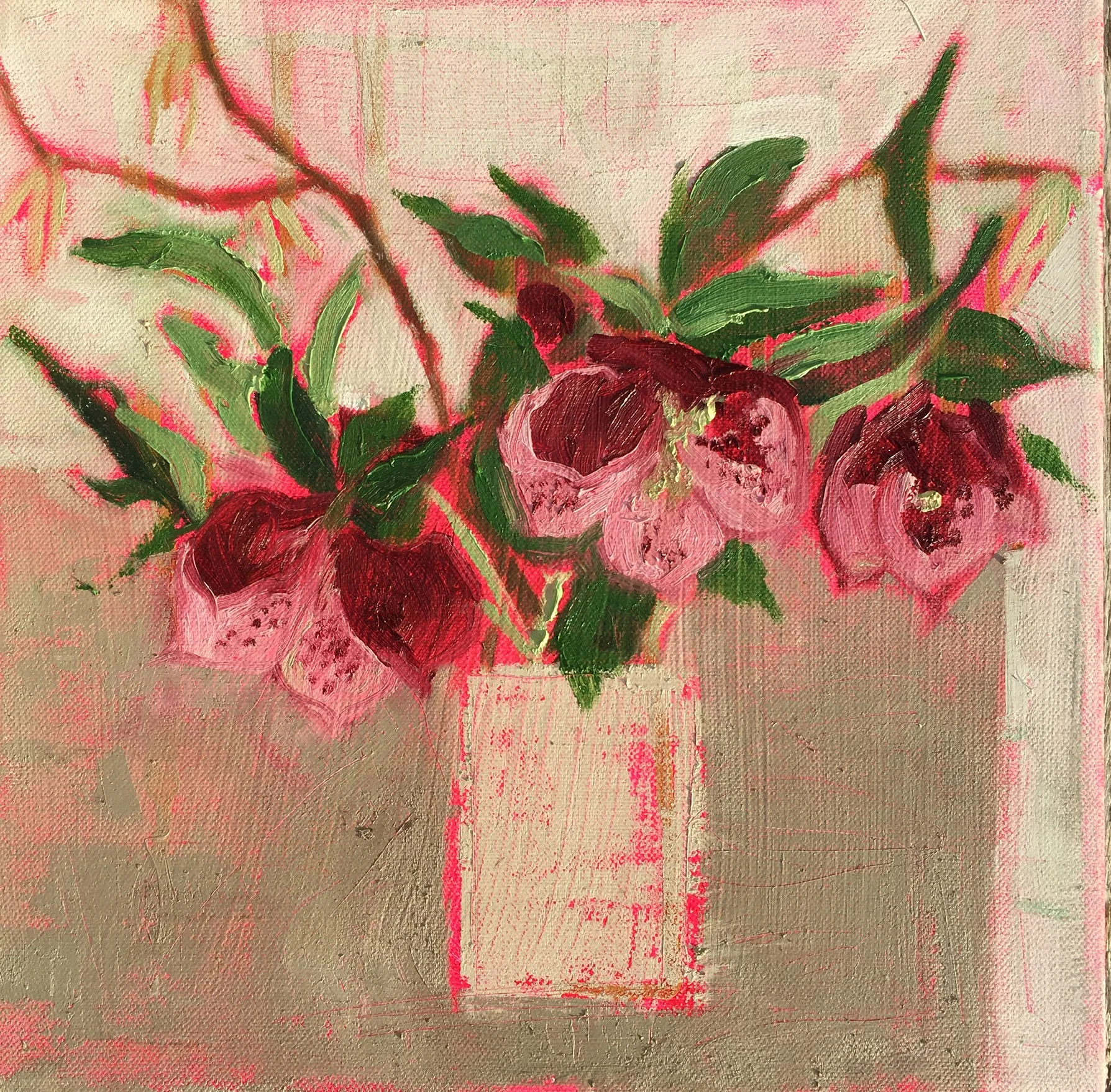 Hellebores