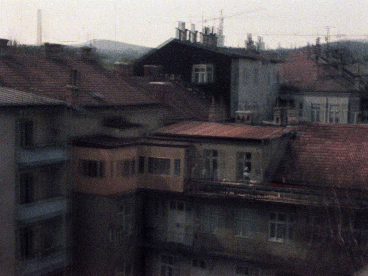 KREN_Keine-Donau.gif