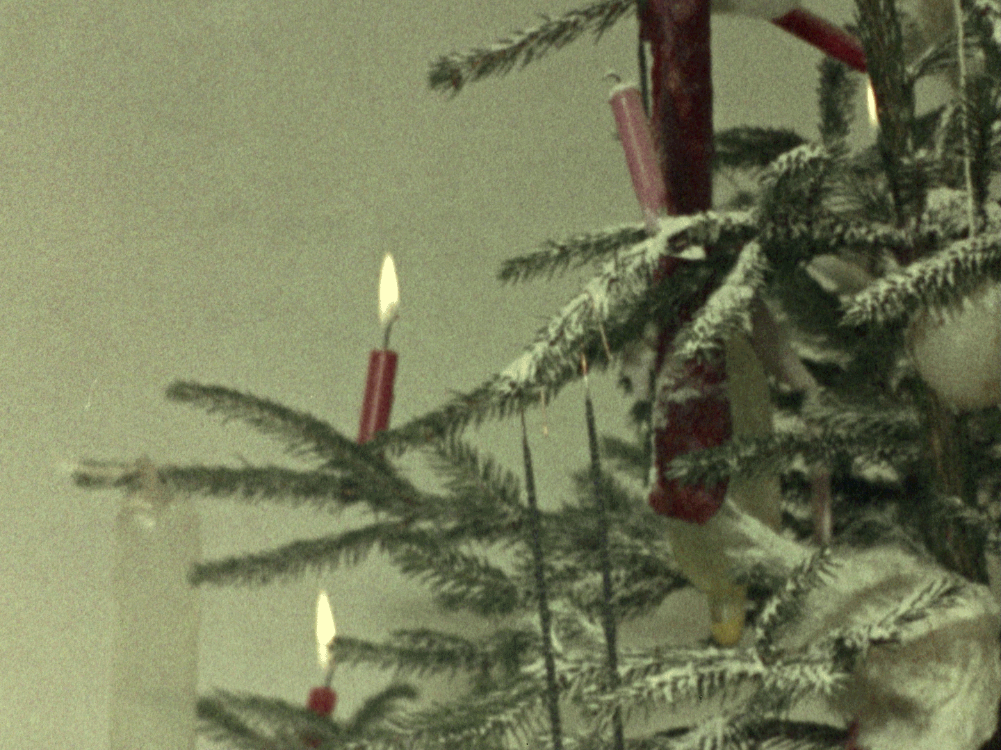 O-Tannenbaum.gif