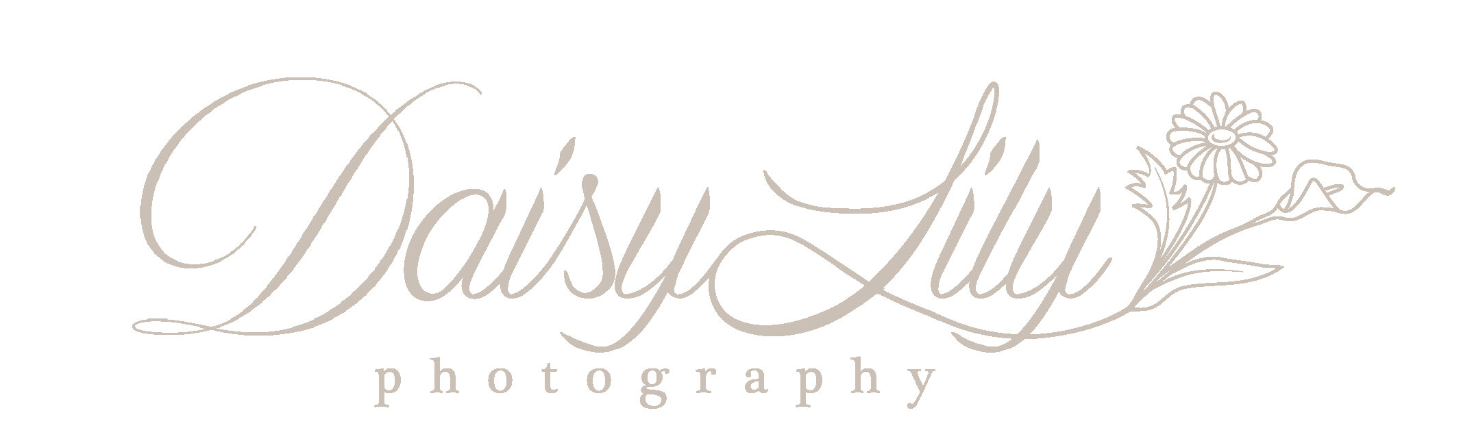 Daisy Lily Photography