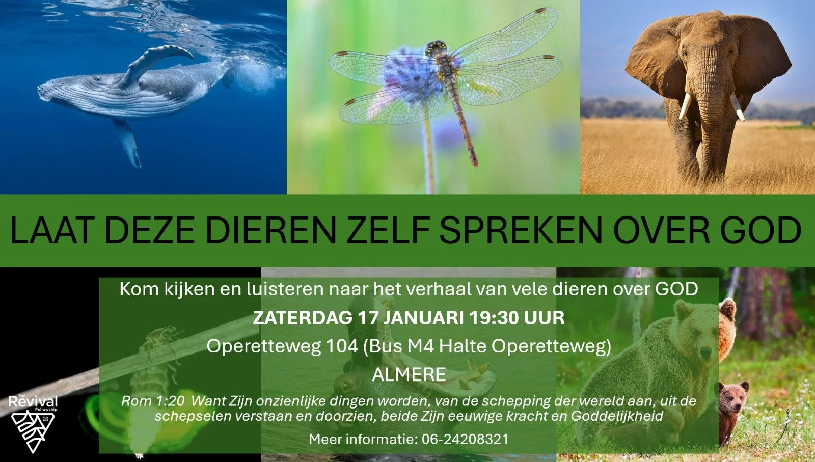 Onder de loep genomen: God en de natuur