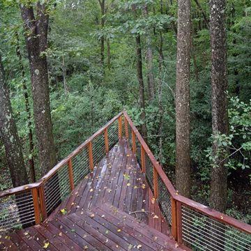Treehouse thumbnail.jpg