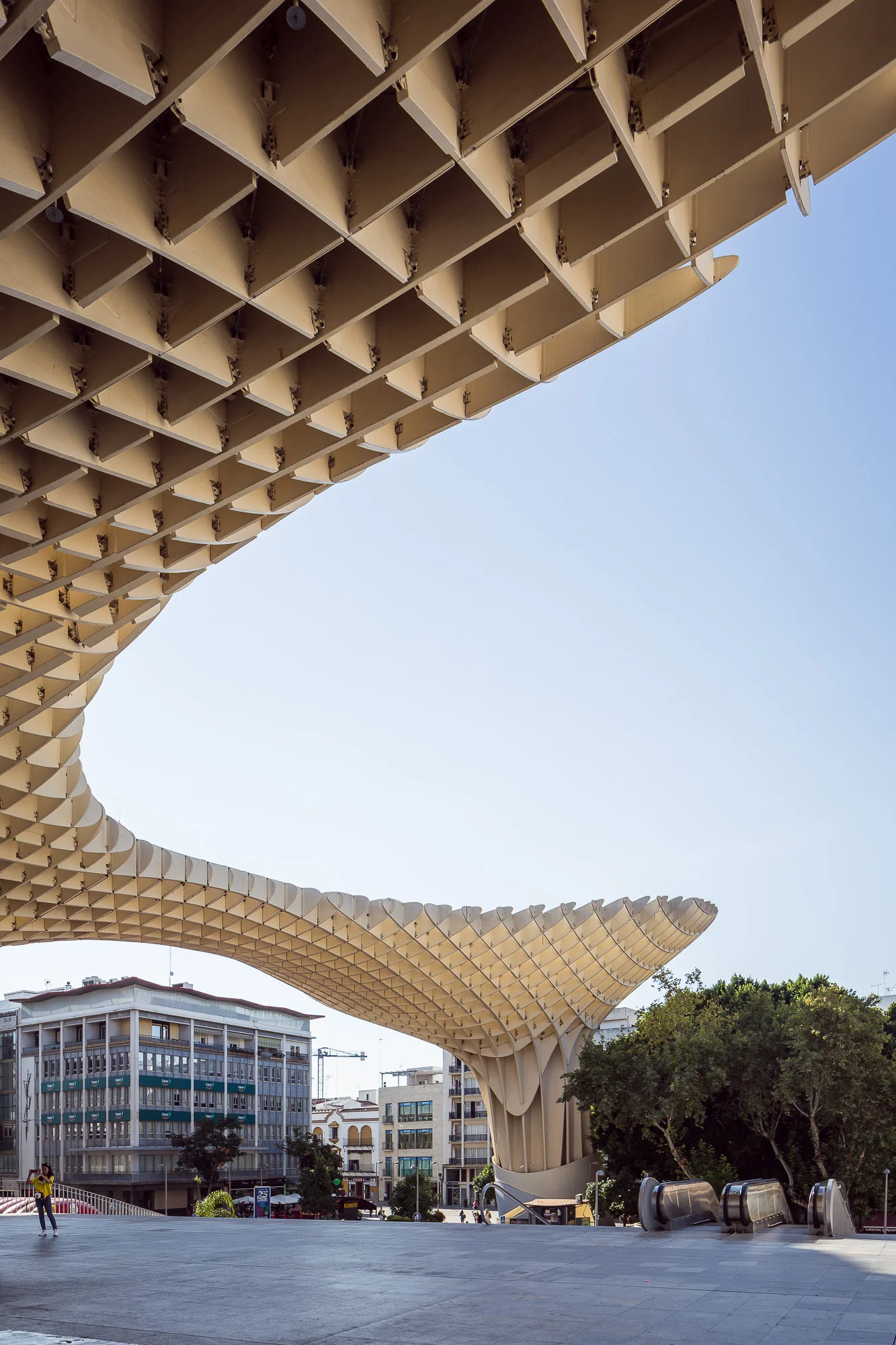 EGallardo_SetasdeSevilla-31.jpg
