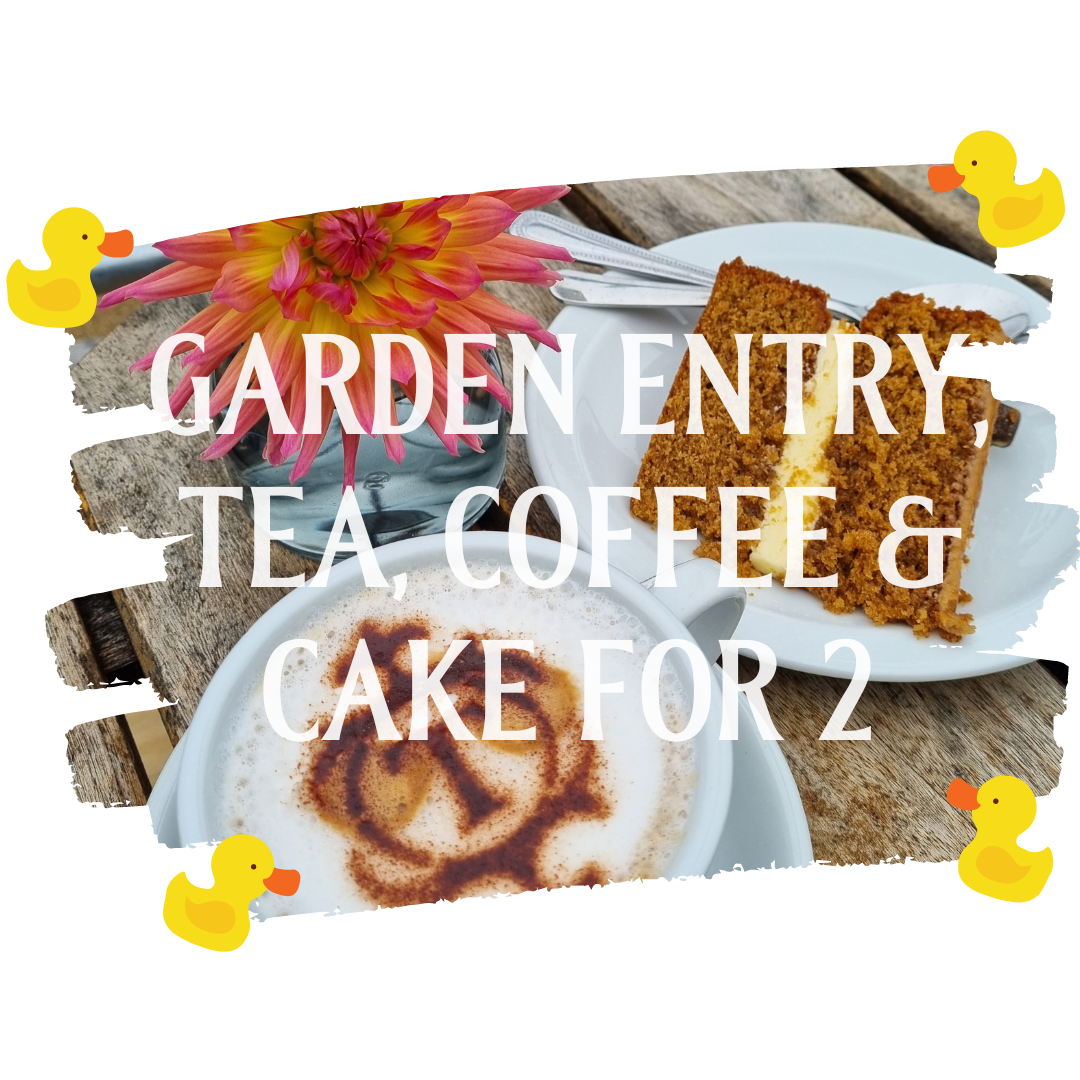 Afternoon Tea for 2 at Quackers cafe — Thornbridge Estate in the Peak