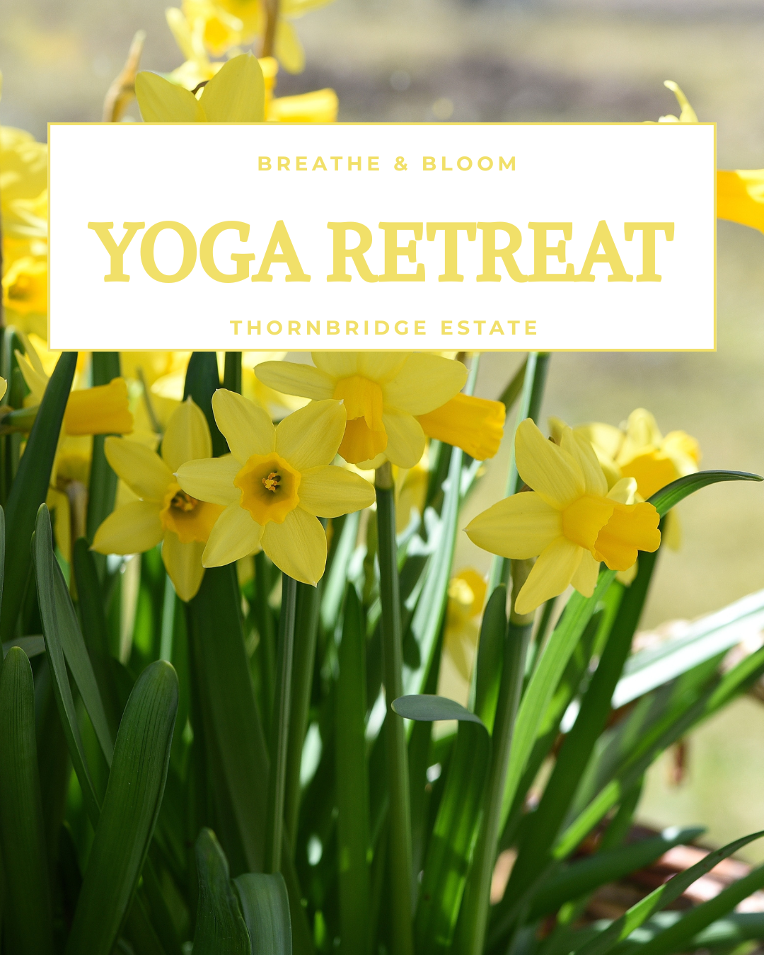 Breathe &amp; Bloom: Yoga Retreat with Topaz Yoga 