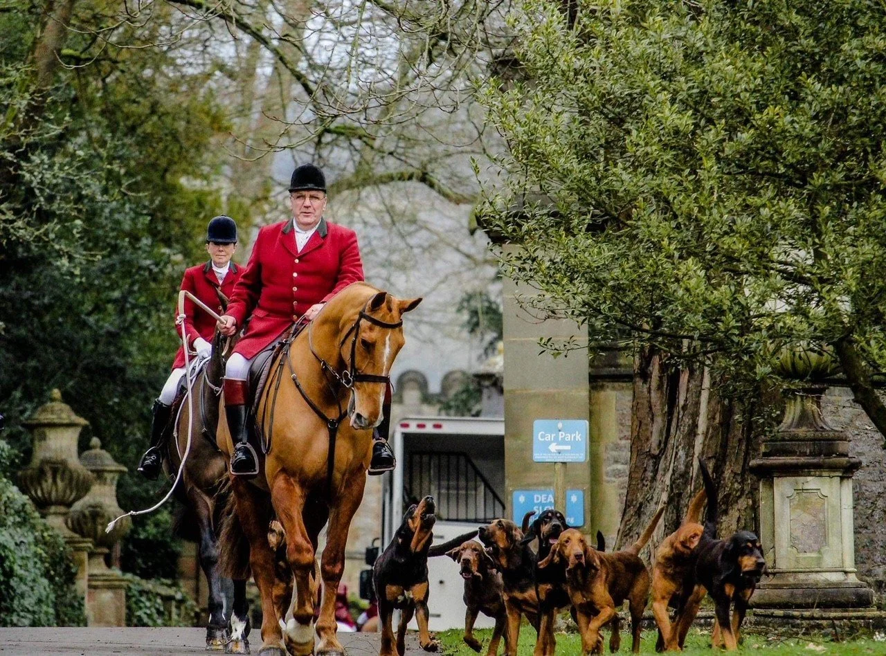The 4 Shires Bloodhound Hunt - Cancelled due to weather