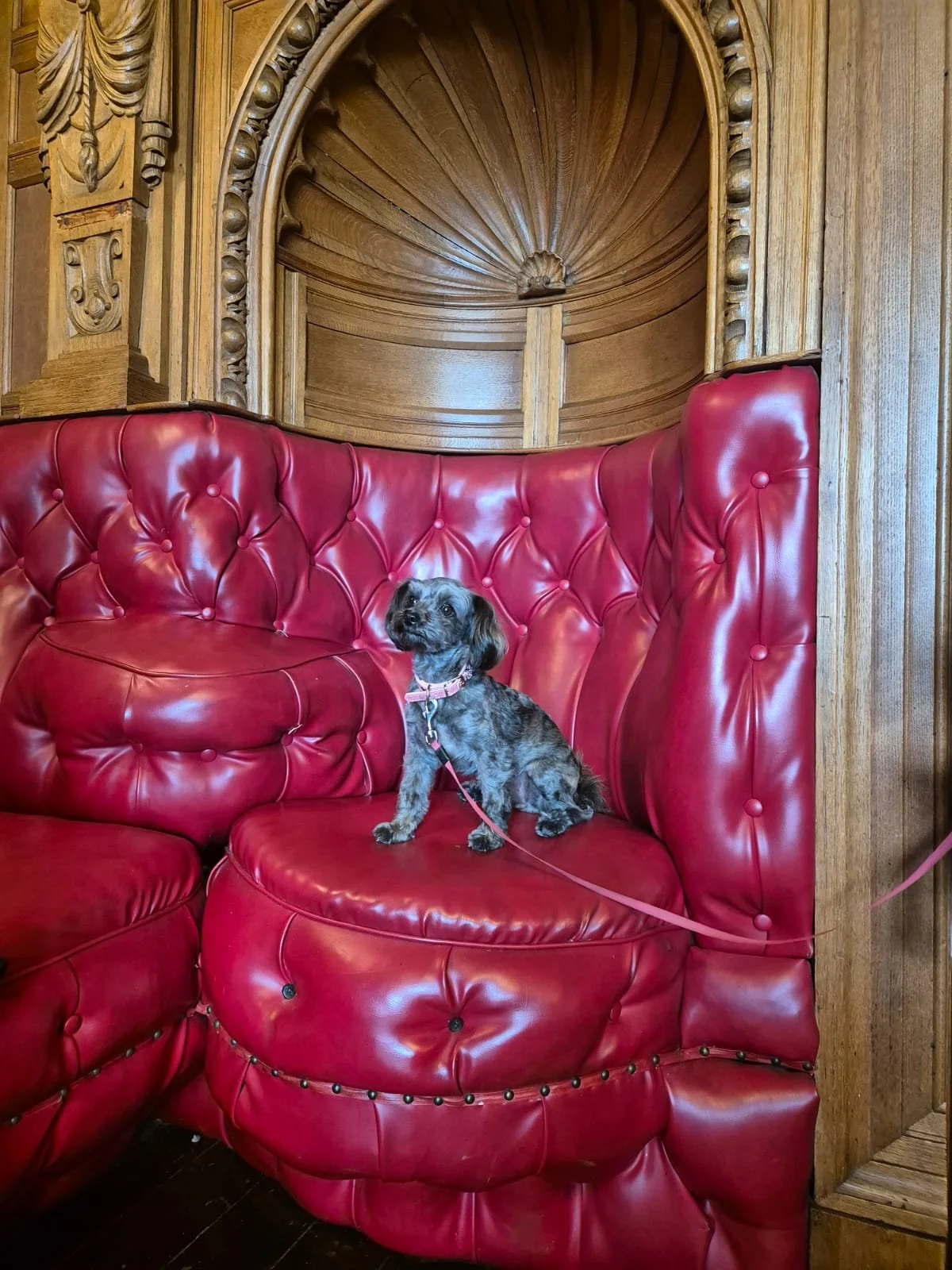 WhatsApp Image 2024-07-25 at 16.00.28_3f3a5bbd.jpg