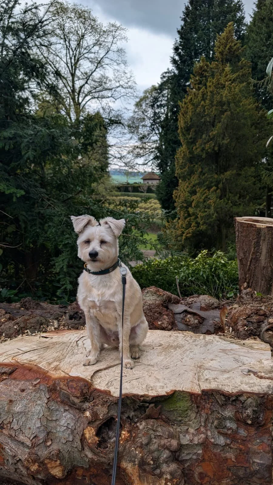 WhatsApp Image 2025-12-18 at 10.22.57 (1).jpeg