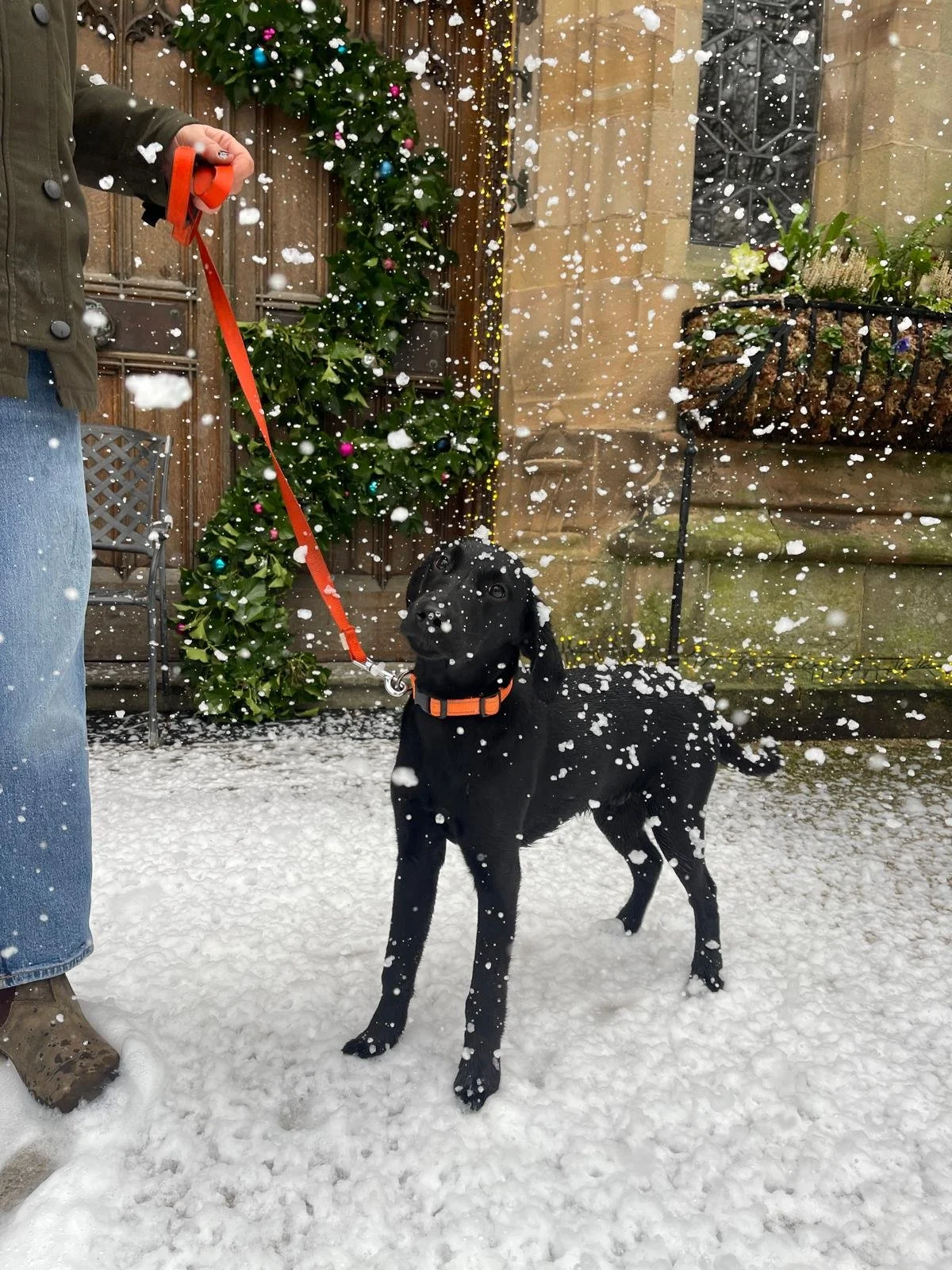 WhatsApp Image 2025-12-18 at 10.33.19.jpeg