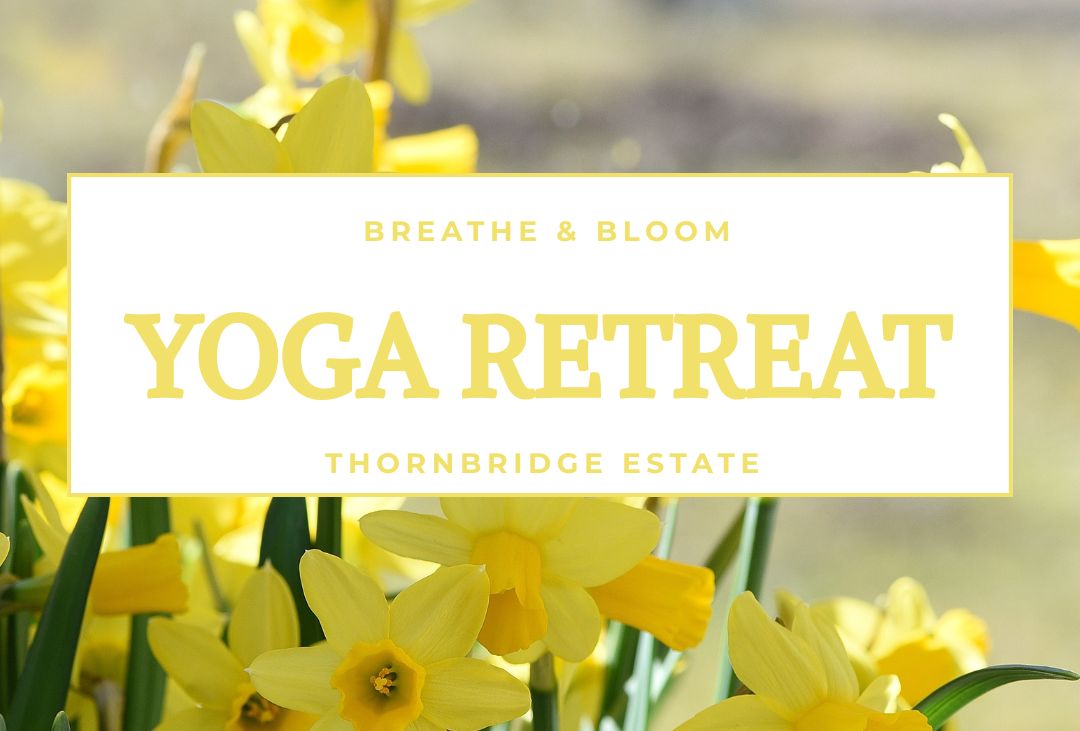 Breathe &amp; Bloom: Yoga Retreat with Topaz Yoga 