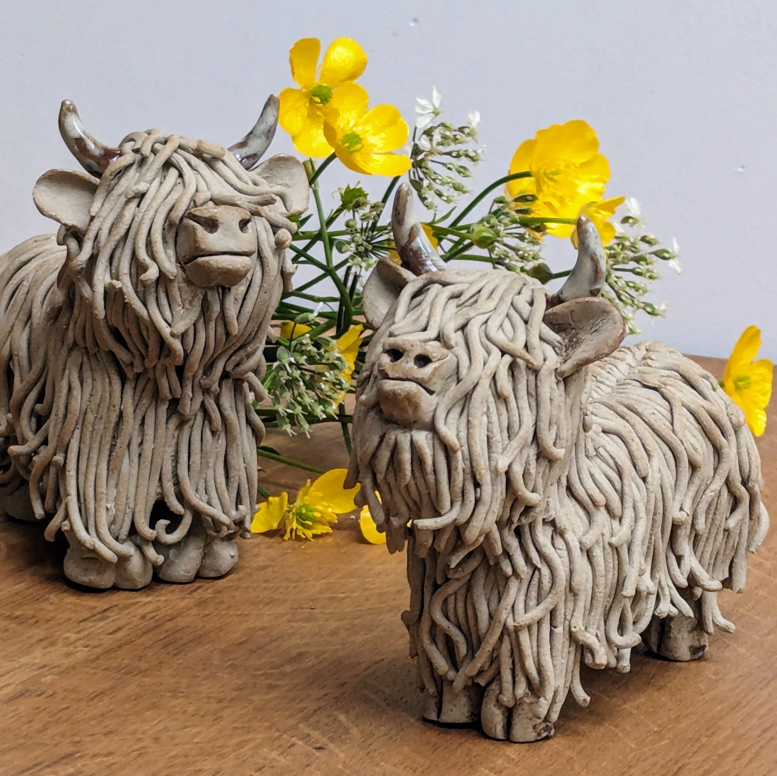 Highland Cow - Pottery Workshop