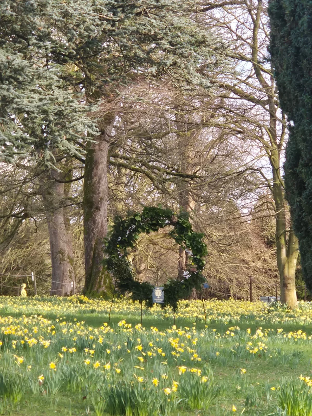 WhatsApp Image 2026-03-14 at 14.54.23.jpeg