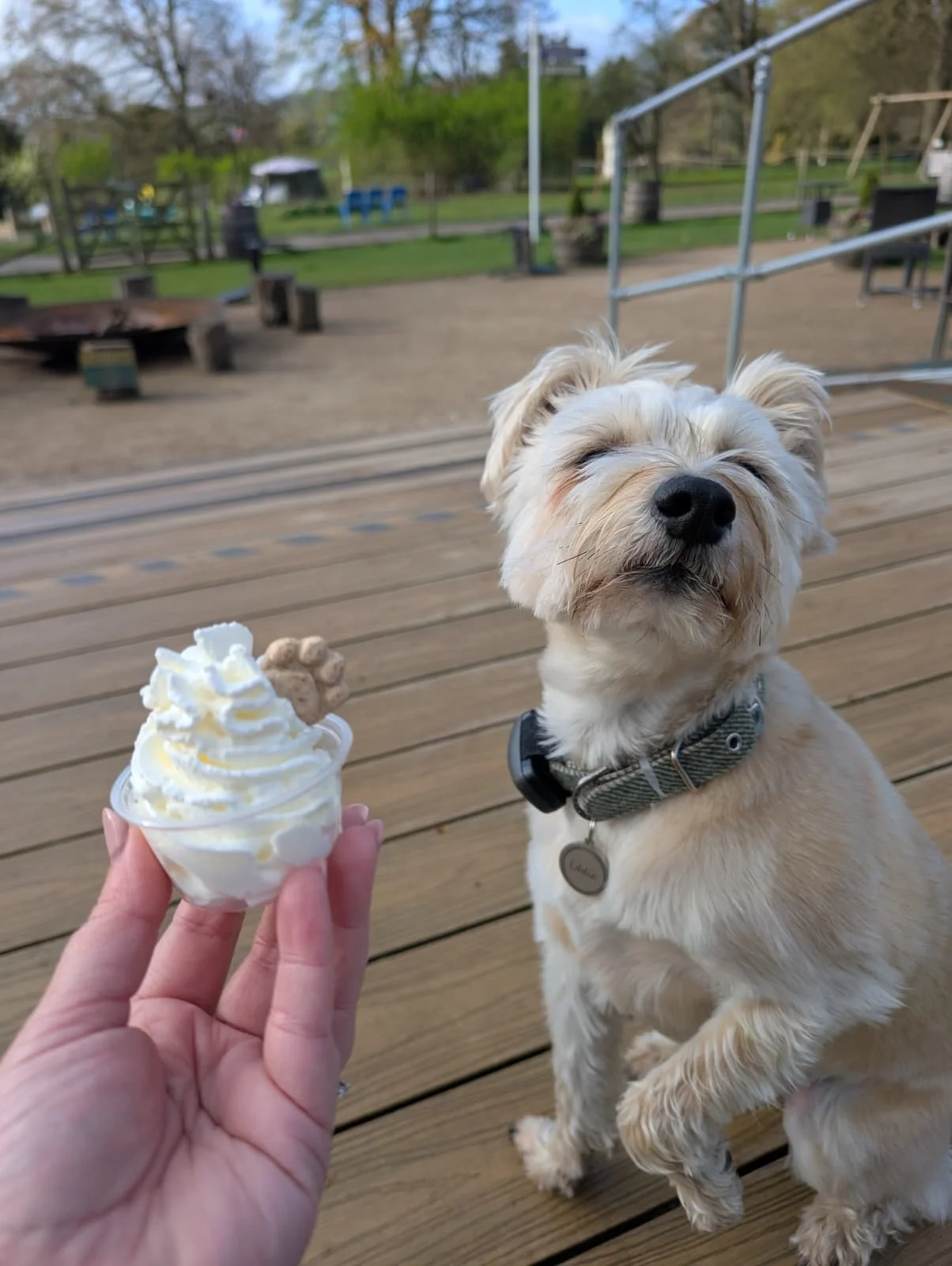 WhatsApp Image 2026-04-16 at 09.01.26 (1).jpeg