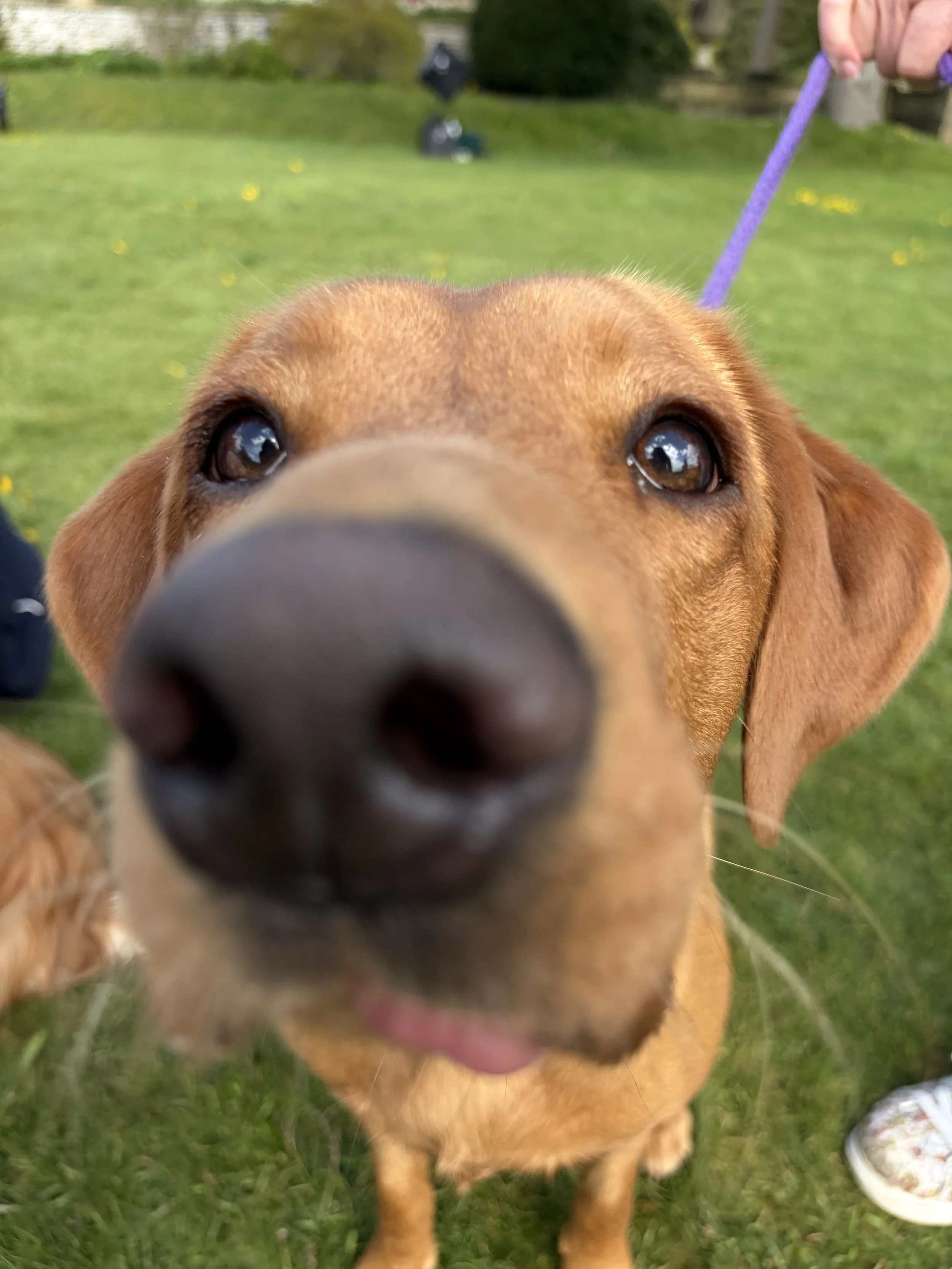 Jai-Paw Day Day 2026